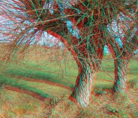 3dfoto