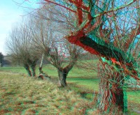 3dfoto