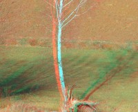 3dfoto