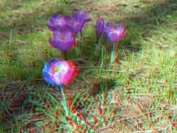 3dfoto