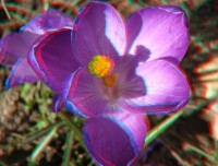 3dfoto