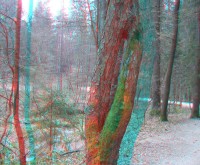 3dfoto