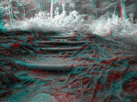 3dfoto