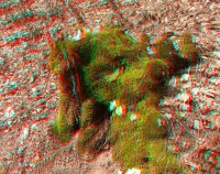 3dfoto