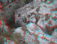 3dfoto