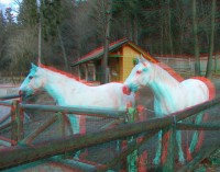 3dfoto