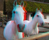 3dfoto