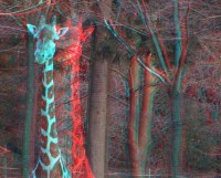 3dfoto