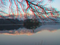 3dfoto