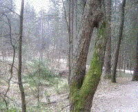 3dfoto