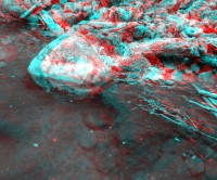 3dfoto