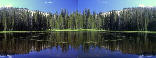 3d
