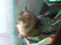 3dfoto