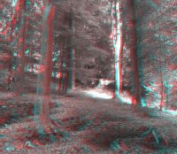 3dfoto