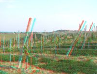 3dfoto