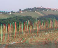 3dfoto