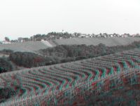 3dfoto