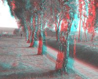 3dfoto