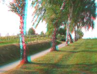 3dfoto