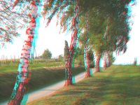 3dfoto