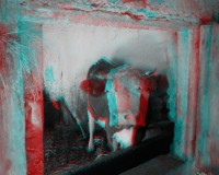 3dfoto