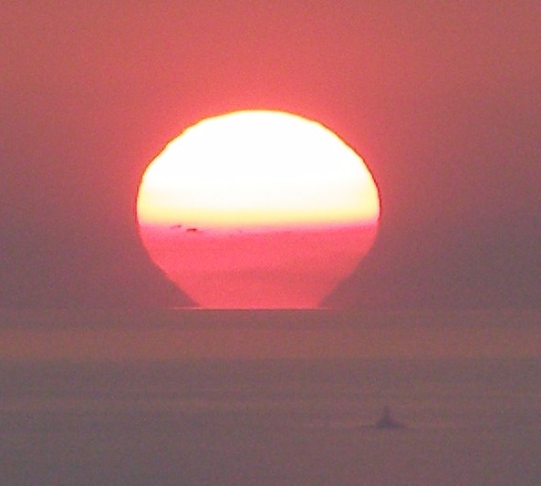 sonce