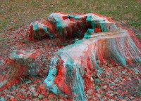 3dfoto