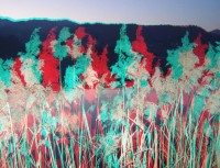 3dfoto